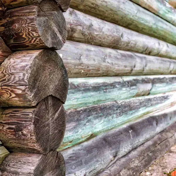 usługi czyszczenia drewna laserem